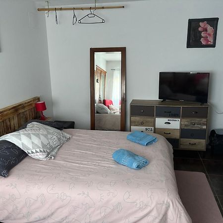 Proprietaire Prive Bed and Breakfast Καρκασόν Εξωτερικό φωτογραφία